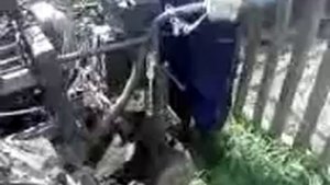 Мотоблок с мотором УРАЛ от Бухмирова в работе