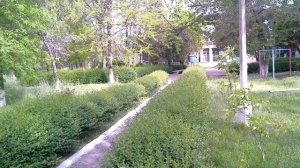 Алмалык.Городской бассейн