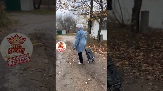 Сумка тележка на колесах СУПЕР смотреть онлайн