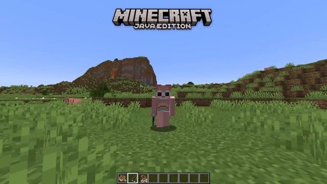 Minecraft JAVA vs BEDROCK