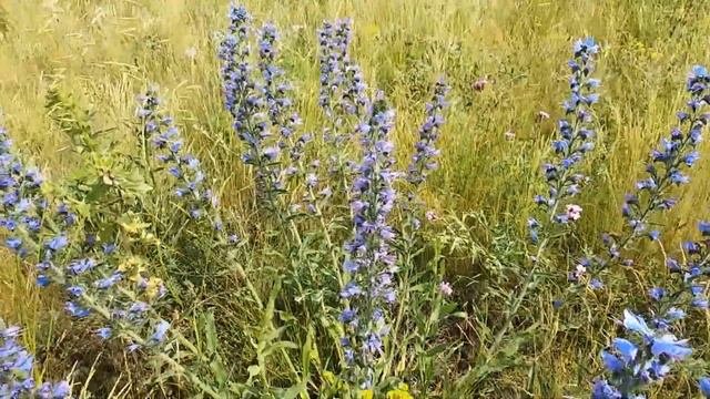 Старокрымское водохранилище