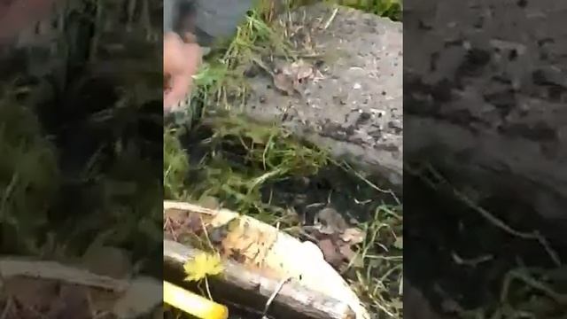 КАК УБРАТЬ МЕЖДУ ПЛИТКАМИ ТРАВУ??) смотреть онлайн