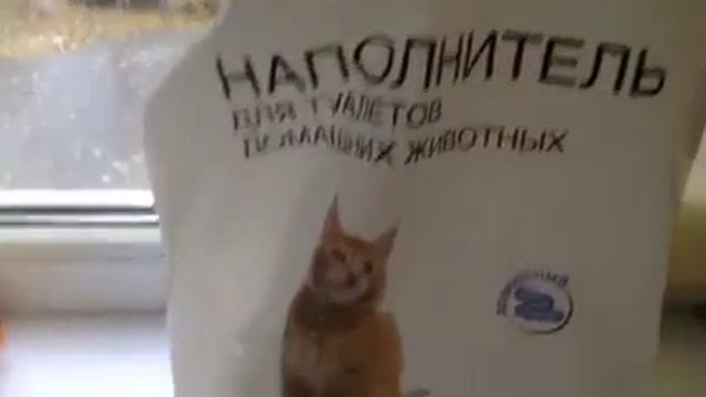 корма моей декоративной крысы