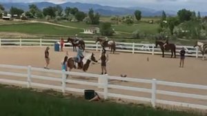 Sun pony ranch 5