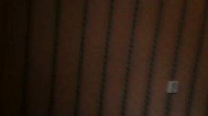 Стяжка пола из керамзита и цпс, финишное выравнивание под кварц виниловый ламинат