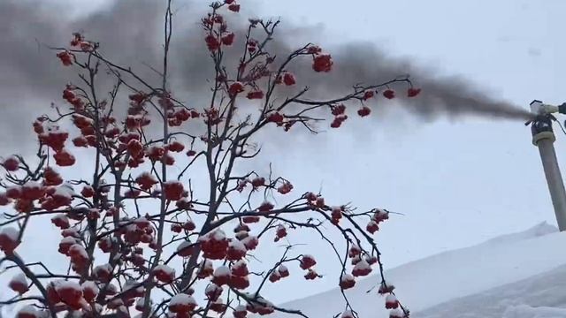 Готовый бизнес! смотреть онлайн