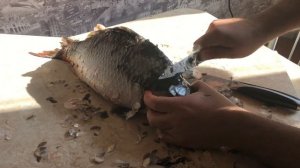 КАК ПОЧИСТИТЬ КАРПА. ЧИСТИМ РЫБУ. ASMR/АСМР