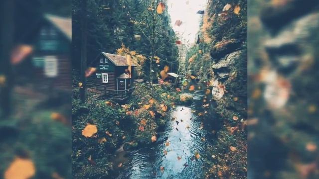 Cuándo vendrás. Alicia Larde De Venturino. Voz: Mireya Rosua смотреть онлайн