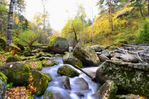 Польза минеральной воды курорта Белокуриха