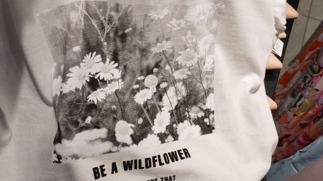 Обман зрения от Котика и боль от РМ! смотреть онлайн