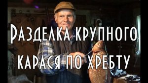 КРУТАЯ РАЗДЕЛКА ОГРОМНОГО КАРАСЯ ПО ХРЕБТУ. МАСТЕР КЛАСС ОТ ДЯДИ ТОЛИ