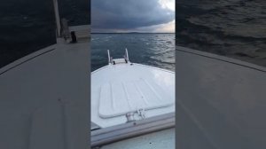 Минское море, осень, ноябрь. Катер Прогресс 2М