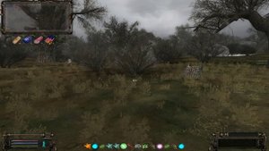 ОП 2.2, часть 54, Схрон раритетного оружия.mpg