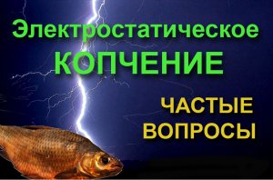 Электростатическое копчение Частые вопросы.mp4