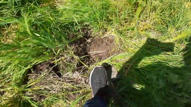 Цена ниже не куда. Коп металла 2022 смотреть онлайн