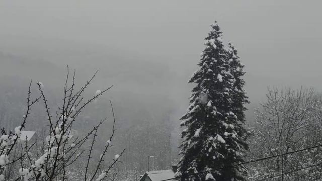 Снежная сказка - зима в Краснодарском крае - Хадыженск смотреть онлайн