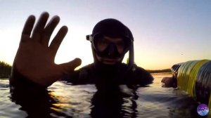 Подводная охота на финском заливе. Щука. Линь. Карась.