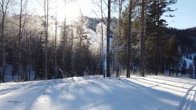 Мишина гора перед сезоном