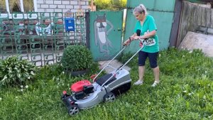 Обзор и первые впечатления о газонокосилке AL-KO Classic 4.62 SP-A