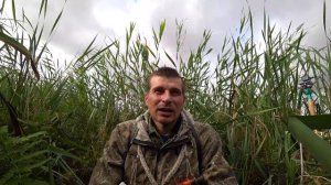 Охота на Крякву с Сайгой 12