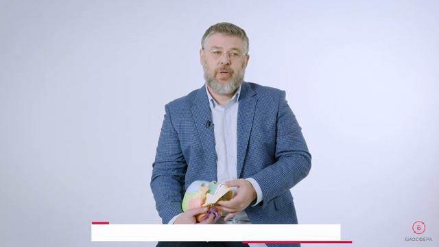 Что такое остеопатия? Остеопатическая клиника экспертного уровня "БИОСФЕРА"