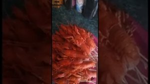 Букет из раков своими руками (Раки)!!