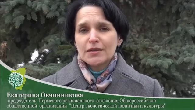 Пихта сибирская зеленый символ Лысьвы смотреть онлайн