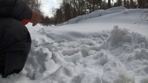 Хариус проснулся.Дело пошло.