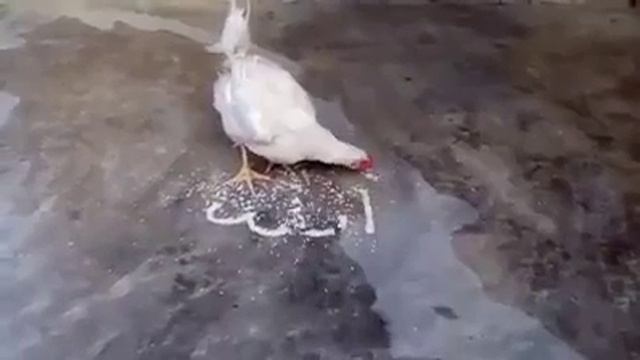 god смотреть онлайн