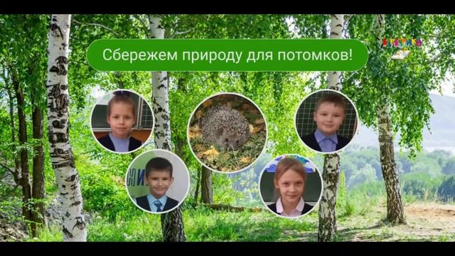 Берегите природу родного края! (К 300-летию Кузбасса). В рамках экологического проекта. смотреть онлайн