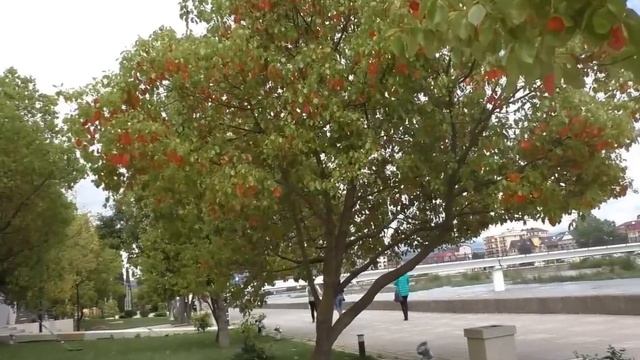Адлер      Советы отдыхающим 1