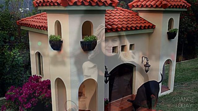 6 самых дорогих домов для собак смотреть онлайн