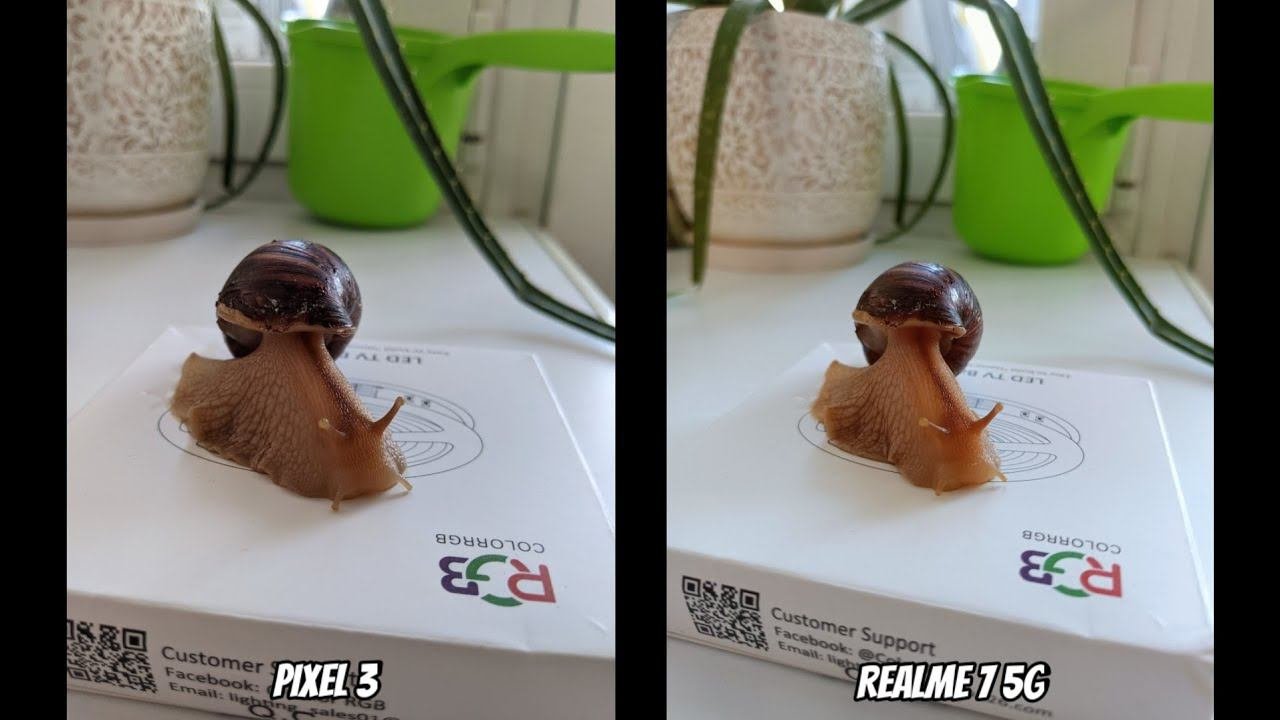 Realme 7 5G vs Pixel 3. Тест камер видео + фото!