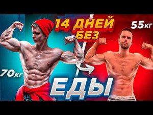 14 ДНЕЙ БЕЗ ЕДЫ! ЧТО СТАЛО С ЭКТОМОРФОМ?