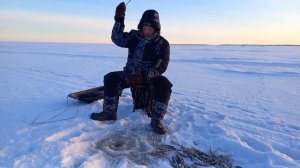 Ловля корюшки в Белом Море на блёсны от Mr. Musurok