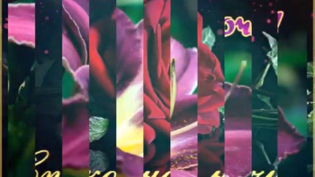 Красивое пожелание спокойной ночи ♡ смотреть онлайн