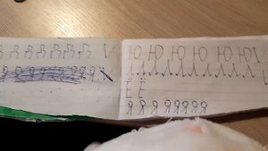 Как басики делают уроки