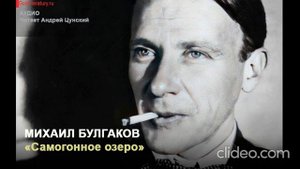Михаил Булгаков "Самогонное озеро". Читает Андрей Цунский