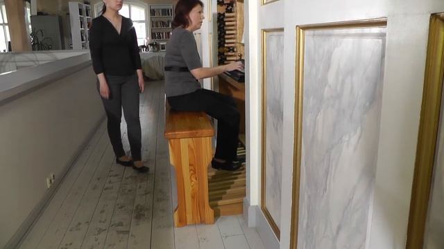 Nicolaus Bruhns Praeludium in e [groß], Anna Kalinkina смотреть онлайн