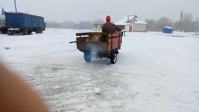 Лыжа для муравья смотреть онлайн
