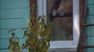 Соседские войны