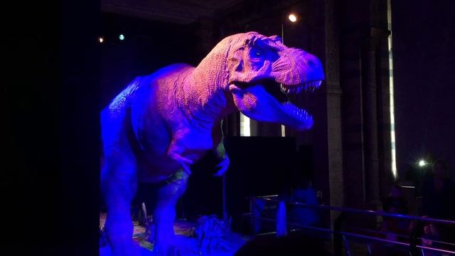 dino at national history museum in London смотреть онлайн