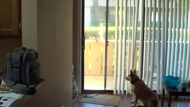 Миша с Гришей любят творожок смотреть онлайн