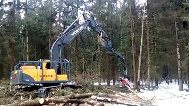 Заготовка древесины харвестером