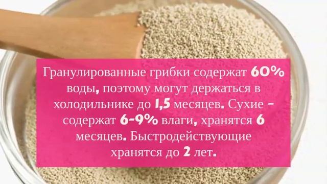 Как правильно хранить дрожжи в домашних условиях? смотреть онлайн