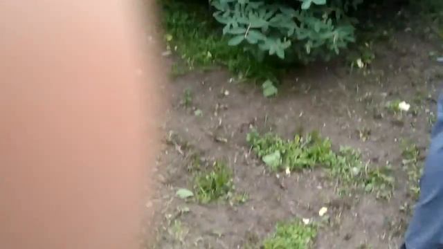 Мина из бутылки смотреть онлайн