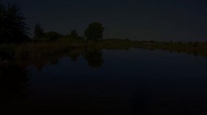 Ловля РАКОВ на ДЕДОВСКУЮ ПРИМАНКУ! Она РАБОТАЕТ!!!