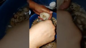 ПРОБУЮ ВСЁ/ Как чистить гриб груздь ложкой