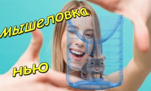Мышка попалась в пятилитровку.