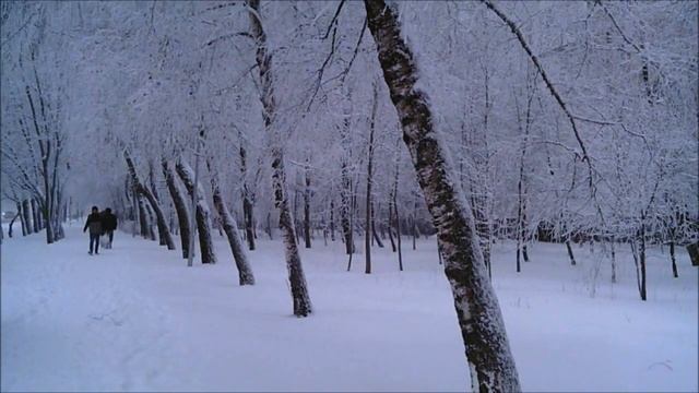 Рождественский снег в Ставрополе (07.01.2019)